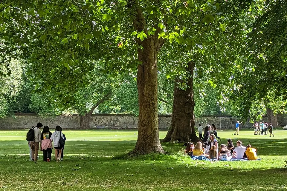 College Grounds